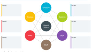Ebook Mô hình 7S McKinsey